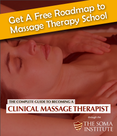 Massage Therapy Education Guide