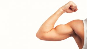 biceps brachiia